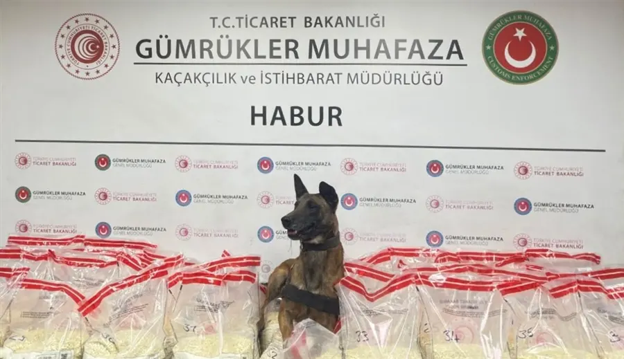 TİCARET BAKANLIĞI GÜMRÜKLER MUHAFAZA EKİPLERİ KAÇAKÇILIK VE UYUŞTURUCUYA GEÇİT VERMEMEYE DEVAM EDİYOR - Ankara gümrük müşavirliği ve dış ticaret rehberi